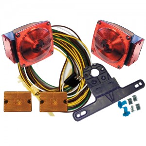 Ensemble de lumières avec filage et support de plaque